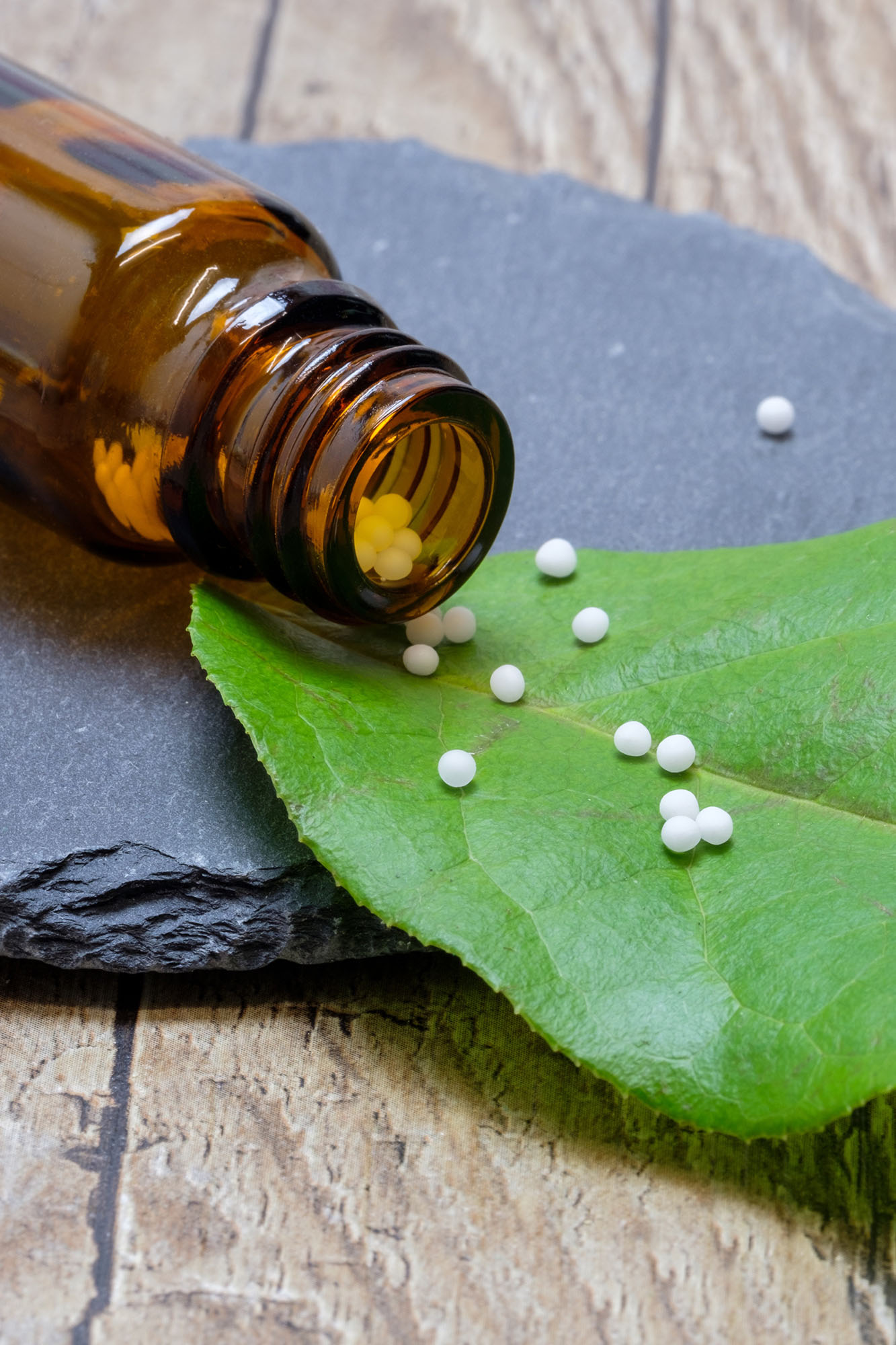 Teton Holistic Veterinary Care Homeopathy Description