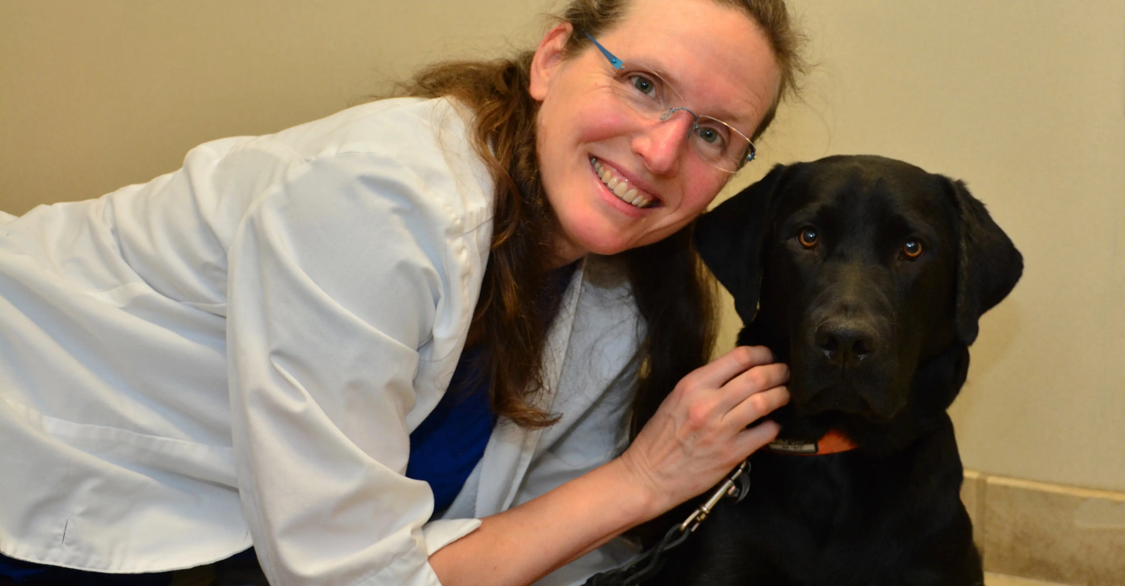 Lauren Davis, DVM, DVetHom, CVA, CVCP