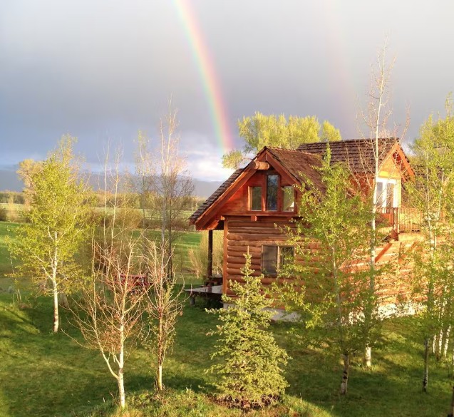 what happens on consultation day with teton holistic veterinary care