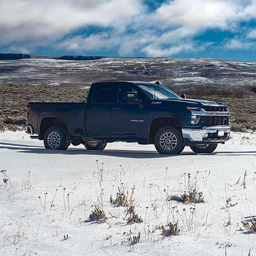 benefits of mobile veterinary service